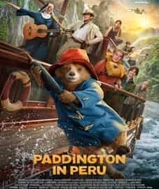 Paddington in Peru 2024
